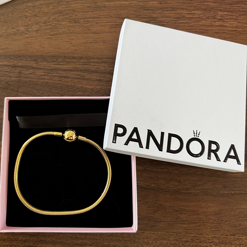 NWOT Pandora snake bracelet